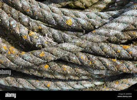 rough twisted hawser rope old pulley object objects colour coloured ...