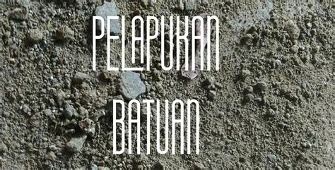 Pelapukan Batuan, Fisika, Kimia, Biologi