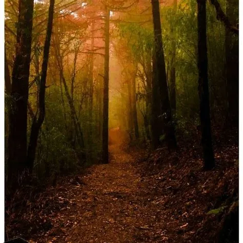 by Patrick BERNARD on Paysage | Country roads, Road, Nature