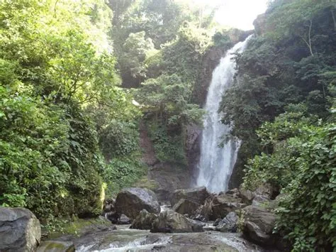 Air Terjun Antrokan di Jember, Keindahan Alam Yang Menakjubkan ...