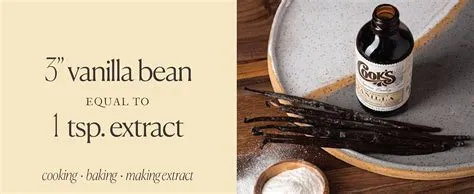 Amazon.com : 10 Organic Madagascar Whole Vanilla Beans, Grade A Pods ...