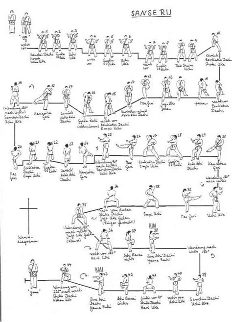 de Adrian Roque Rodrigues en KaratApp | Katas de karate, Técnicas ...