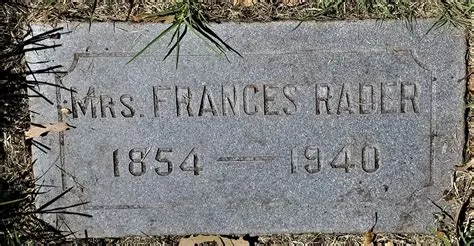 Perbedaan Metamorfosis Sempurna dan Metamorfosis Tidak Sempurna ...