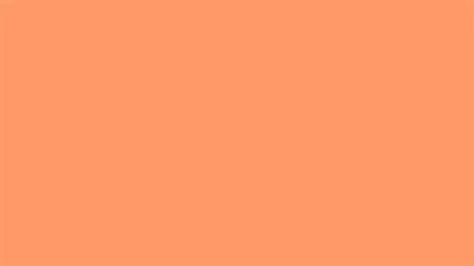 Plain Light Orange Background