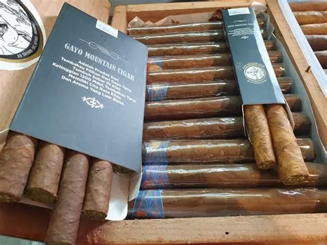 Gayo Mountain Cigar Cerutu Produksi Pertama di Aceh | Tagar