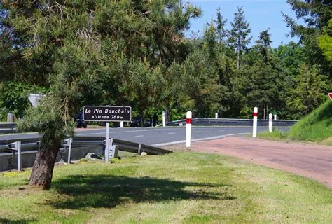 Carte postale. Au détour de la RN7 Le pin Bouchain : le point culminant ...