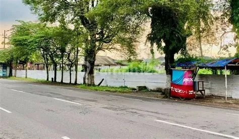 Tanah Sawah Dijual di Patrang, Jember | Harga Per Meter 2025