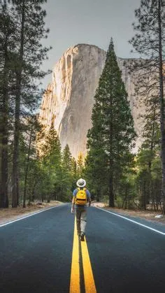 Gray fundo background