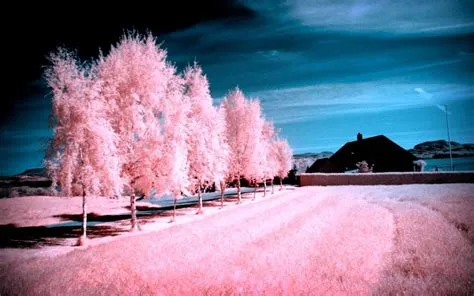 Pink Winter Desktop Wallpapers - Top Free Pink Winter Desktop ...