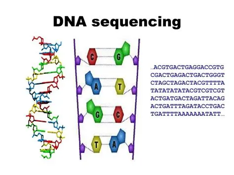 Sequencing Dna
