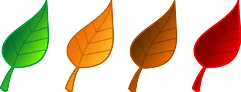 Free Leaf Cliparts, Download Free Leaf Cliparts png images, Free ...