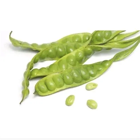 Petai Kempung Mata Besar Fresh Setiap Hari | Buah, Sayuran, Kesehatan