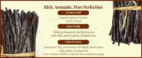 Amazon.com : Bulk Vanilla Beans Grade A + | 1 LB Vanilla Bean Pods for ...