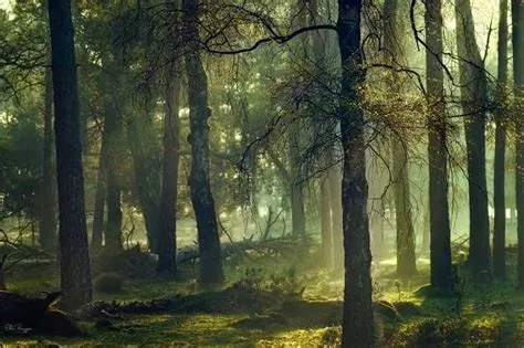 Ellen Borggreve | Scenery, Scenic destinations, Scenic