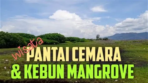 Wisata Pantai Cemara Jember ‼️Lewat JLS Jember - Lumajang - Malang‼ ...