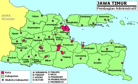 Letak Geografis Kabupaten dan Kota di Prov. Jawa Timur (Jatim ...