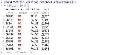 RSC: pin_versions should return created, active, and size columns ...
