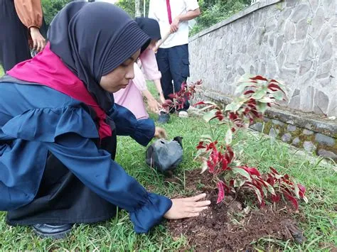 PMI Kab Jember - Nandur Bareng Bunga Sambung Darah, KSR PMI Unit UIN ...