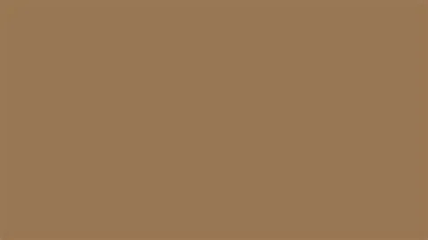 1920x1080 Pale Brown Solid Color Background