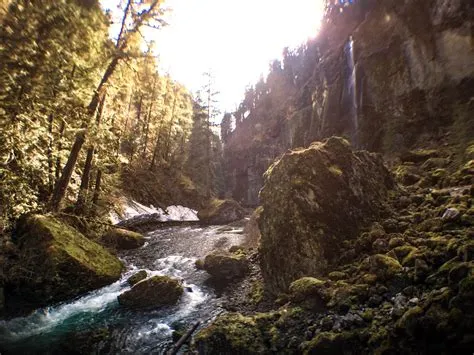 by Sebastian Xavier on SXC Photography | Photography, Outdoor ...