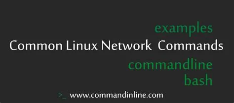 dig Cheat Sheet | dig Command Line Guide