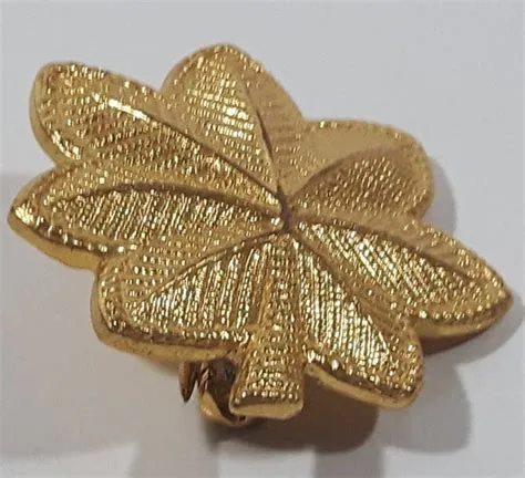 Vintage 1950s N.S. Meyer Inc New York USAF Lieutenant Gold Tone Oak Le ...