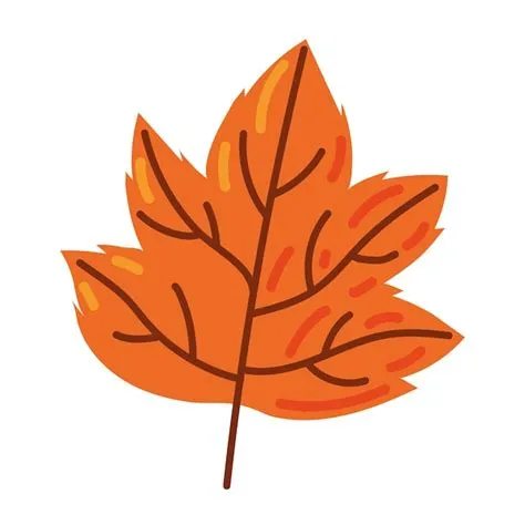 Autumn leaf icon vector isolated | Free Vector