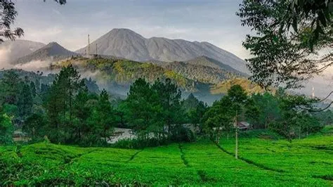 22 Wisata Alam di Bogor yang Sayang Dilewatkan, Sajikan Pemandangan ...