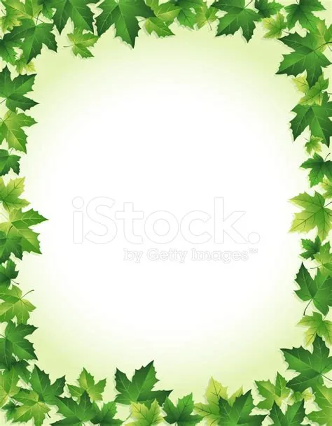 Green Leaf With Yellow Border at Joanne Magana blog