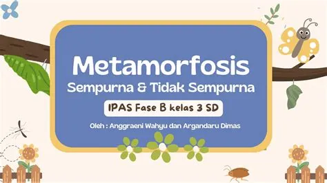 PPT Metamorfosis Sempurna dan tidak Sempurna Anggraeni Wahyu Arini dan ...