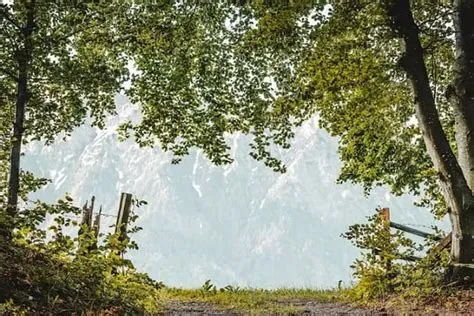 Fakta Mengejutkan! Dia Wilayah di Jawa Timur Ini Punya Angka Harapan ...