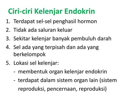 Populer Kelenjar Endokrin Central, Hewan Invertebrata