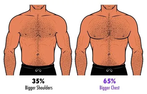 Mens Ideal Female Body