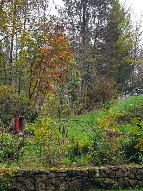 van rutvica op details