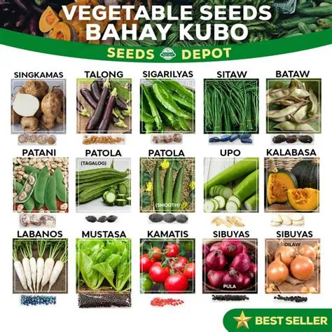 Bahay Kubo Vegetable Seeds - Sigarilyas Talong Sitao Bataw Patani ...