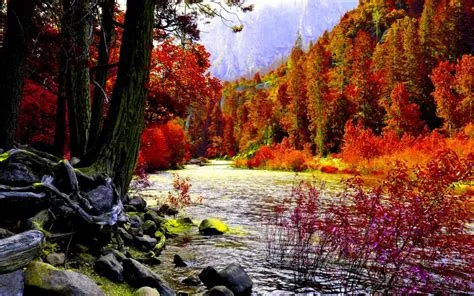 Awesome Autumn River Background wallpaper | nature and landscape ...