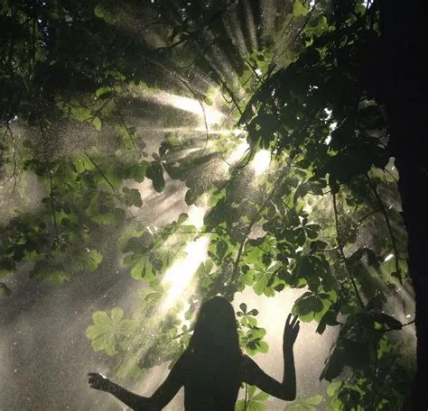 by k51097 on nature | Nature spirits, Nature aesthetic, Mother nature