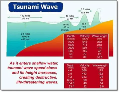 Japan Tsunami Wave Height