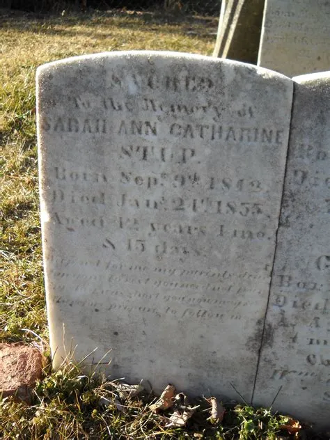 Bebek Carok: Pengertian, Harga, Daftar Menu Populer dan Asal Usul ...