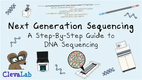 Sequencing Dna DNA Sequencing — Science Learning Hub