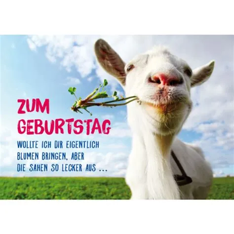 Geburtstag Lustig Bilder Search Results For “geburtstagsspr Che Lustig ...