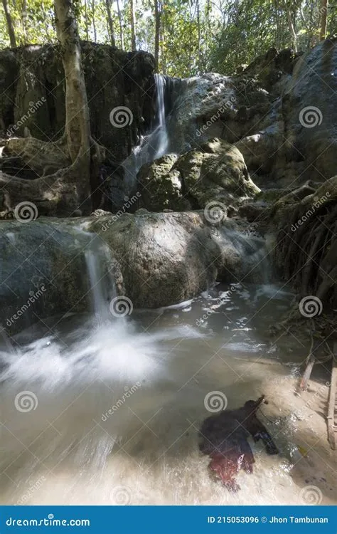 Maelang Waterfall, One of the Tourist Destinations in Wuluhan, Jember ...