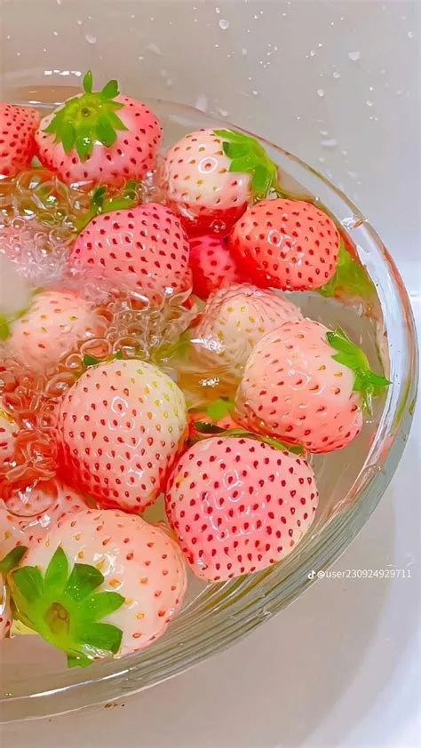 by Killer salvador on Pines creados por ti in 2023 | Stroberi ...