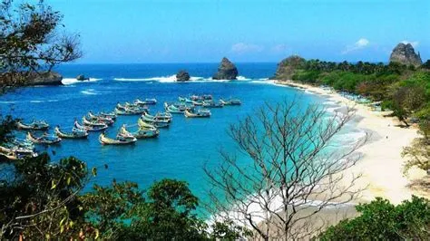 Tren Gaya 91+ Pantai Di Jember