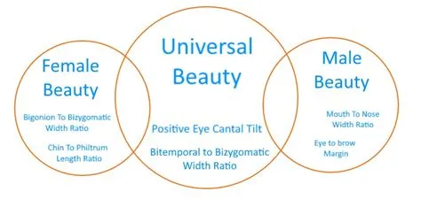 Analysis for Face Attractiveness: What Are the Scoring Ranges and ...
