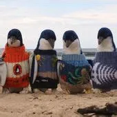 von Thin Blue Line 🇦🇺👮‍♀️ auf BIrds, Animals, Models, ETC 🦜🐦🐓 ...