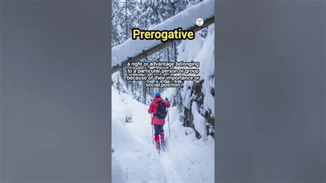 Prerogative Definition & Meaning - YouTube