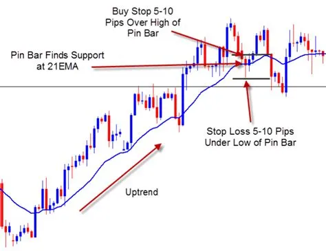 Bar with Moving Average - Forex Strategies - Forex Resources ...
