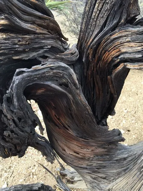 Wood Grain Texture Tutorial