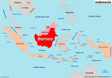 Borneo location on world map